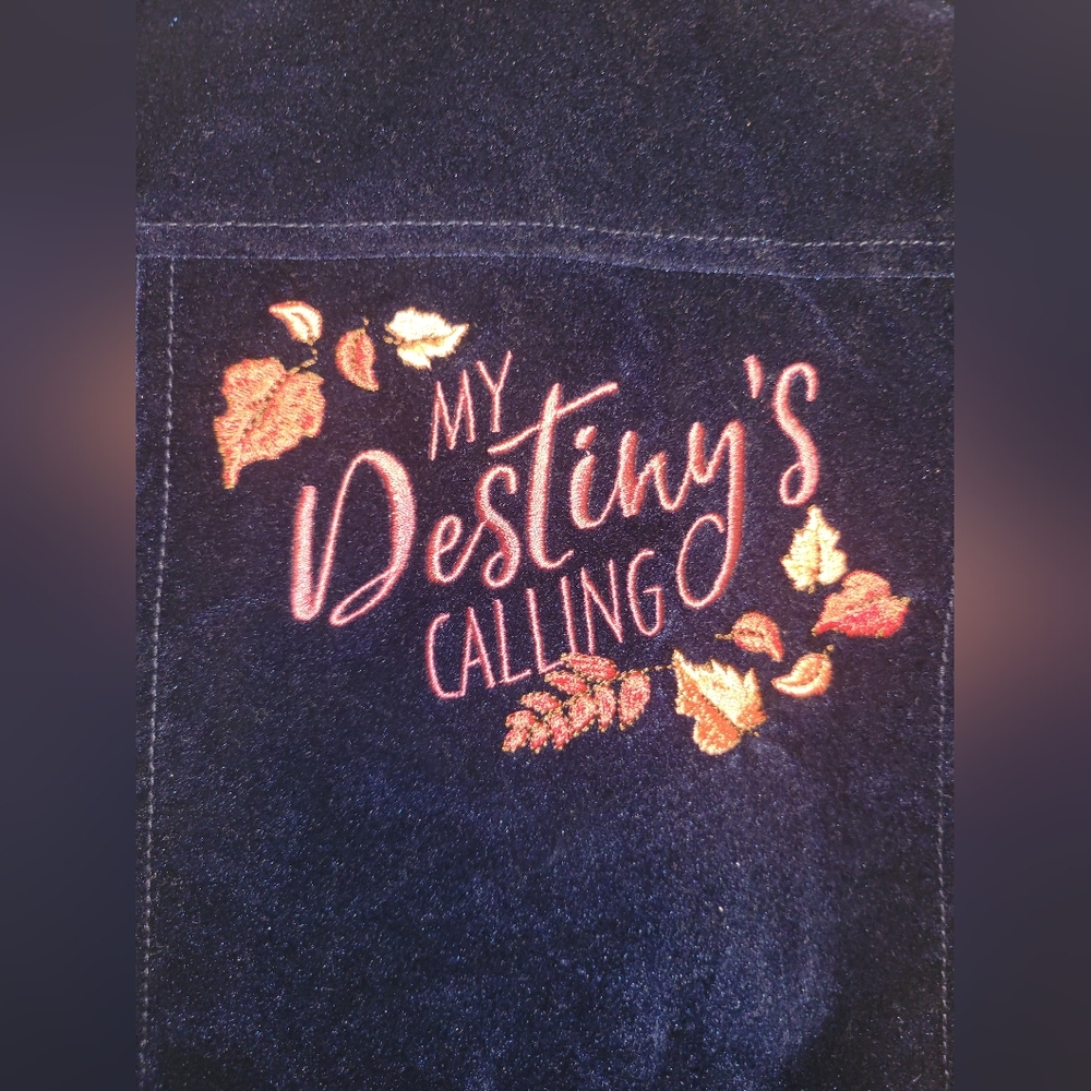 Frozen 2 Embroidered Patch Navy Blue Velvet Jacket Girls 4T New With Tags - Picture 6 of 7
